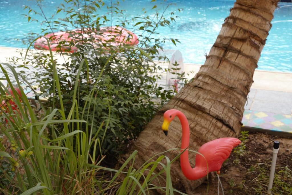 B-Lbait Yanbu Villa Garden Dış mekan fotoğraf